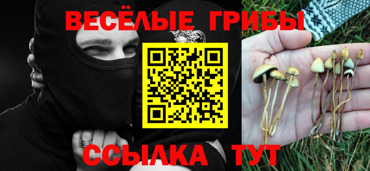 Галлюциногенные грибы GOLDEN TEACHER Лесосибирск