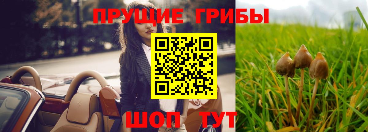 где купить   Галлюциногенные грибы Psilocybe  Вход с VPN  Лесосибирск 